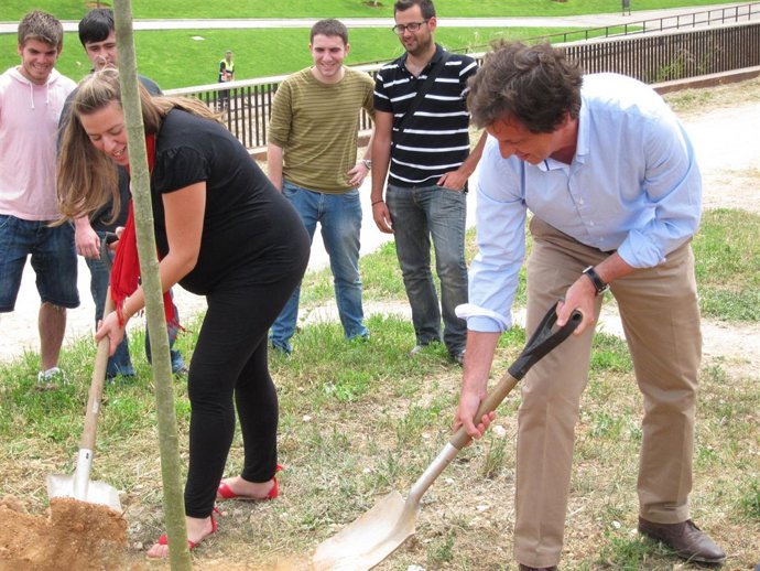 Mateu Isern (PP) Plantando Un Árbol