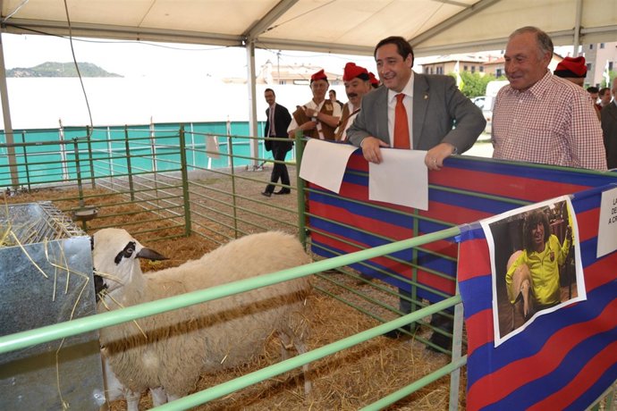 Josep Maria Pelegrí