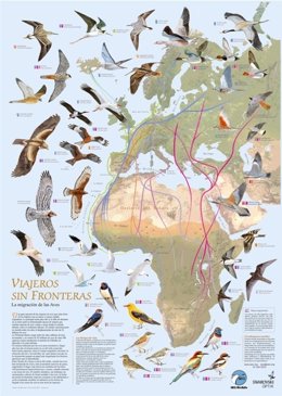 El Cártel Diseñado Por SEO/Birdlife Para El Día Mundial De Las Aves Migratorias