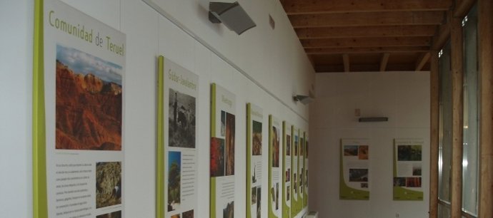 Exppsición En El CIAMA