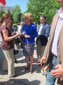 Aguirre En Valdemoro