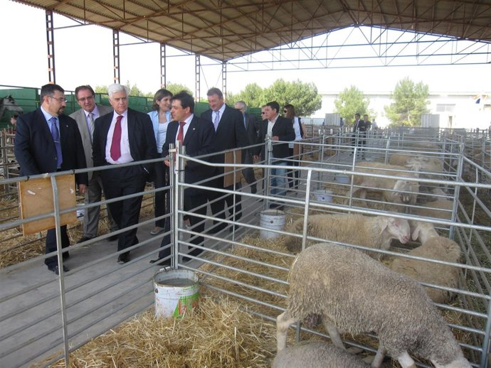 Arguilé, En La Feria