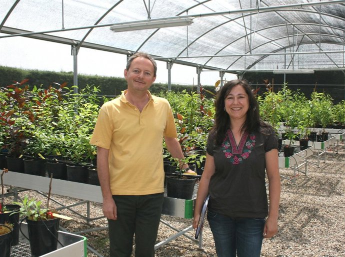 El CITA Investiga Para Recuperar La Producción De Ciruela Reina Claudia 