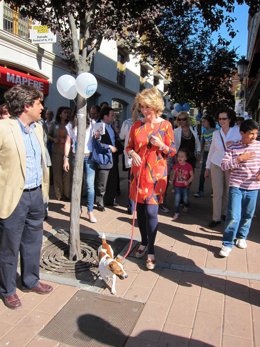Aguirre Paseando Con Pecas Por Galapagar