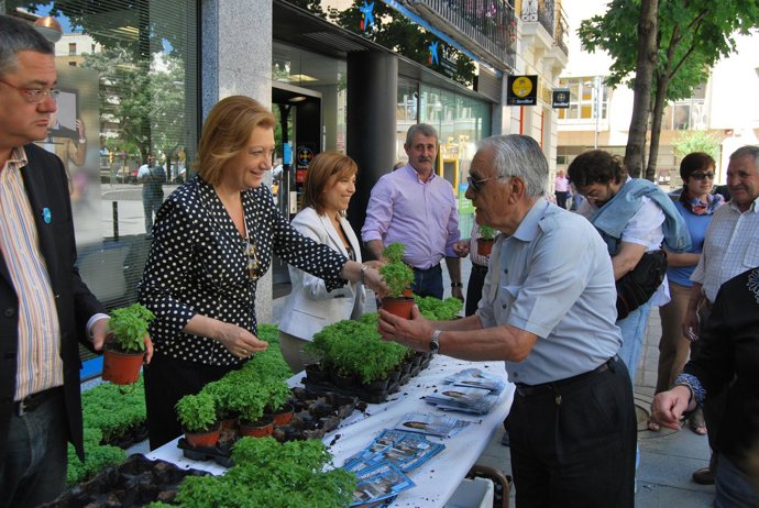 Rudi Reparte Albahaca Junto A Torres Y Alós