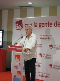 15M.- Cayo Lara dice que IU ve el movimiento 'Democracia Real Ya' en un plano de "igualdad" porque es "parte" de él