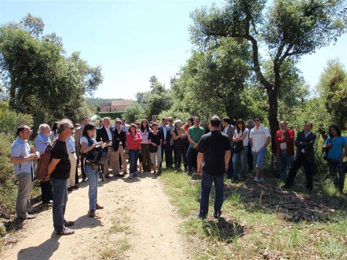 Sede Forestal Icsuro 