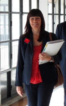 La Consejera Para La Igualdad, Micaela Navarro, A Su Llegada A La Comisión