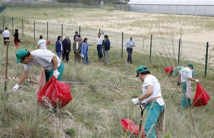 Plantas Invasoras, Trabajadores De Amica