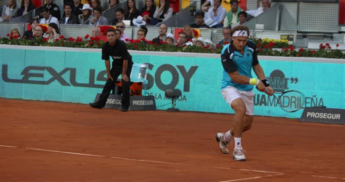 David Ferrer 