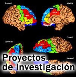 Investigación Ifimav