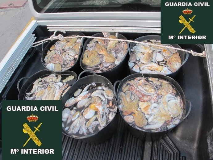 Material Intervenido