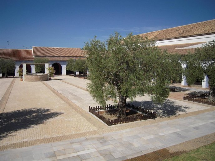 La Fundación Doñana 21 Pone En Marcha El Proyecto De "Identificación De Las Vari