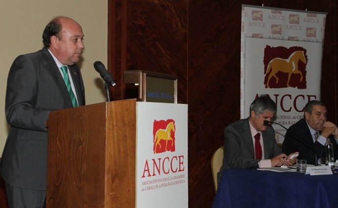 El Presidente En El Atril