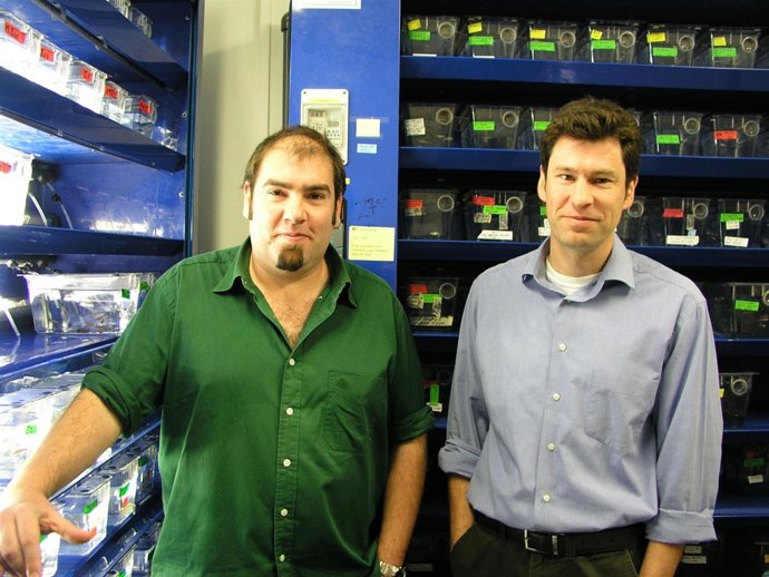 Los Investigadores José Luis Gómez Skarmeta Y Fernando Casares 