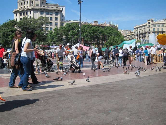 Protesta De Indignados En Plaza Catalunya