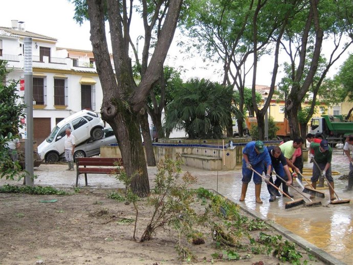 Trabajos De Limpieza En Cañete