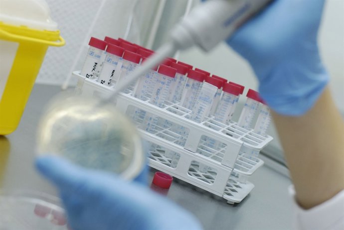 Prueba De Laboratorio.