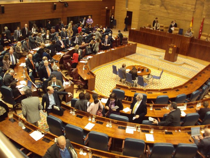 Pleno de Asamblea de Madrid