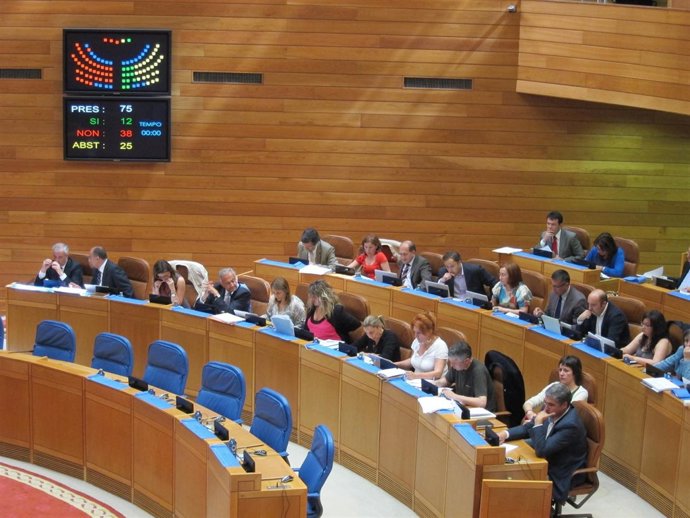 Votación  De La Ley De Disciplina Presupuestaria