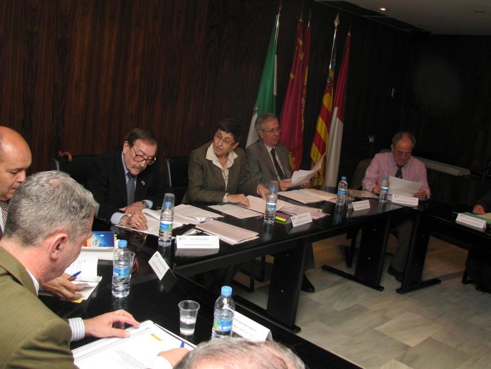 Comisión Desembalses Río Segura