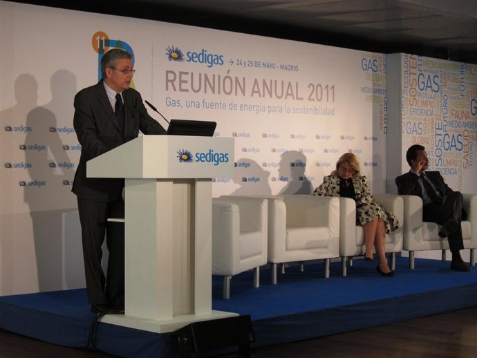 Reunión Anual De La Asociación Española Del Gas (Sedigás) 