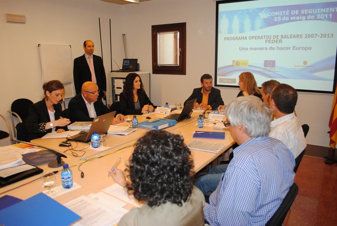 Comisión De Seguimiento Del Feder.