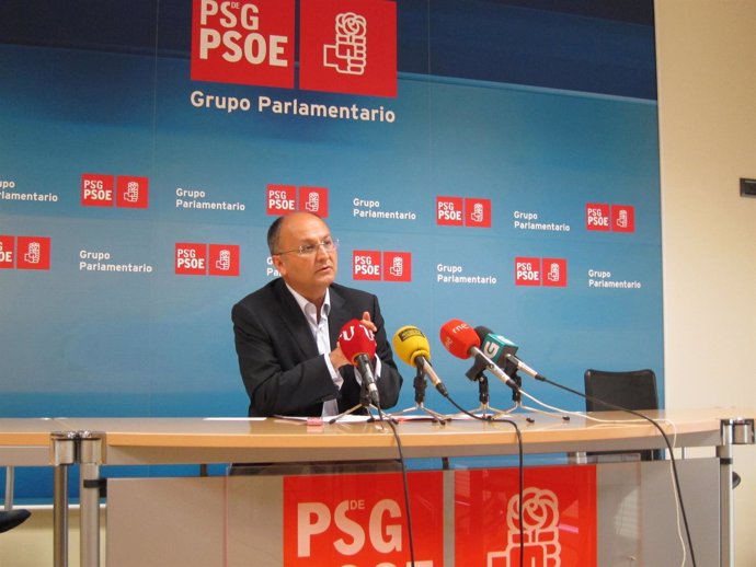 El Portavoz Del Grupo Parlamentario Socialista, Abel Losada.