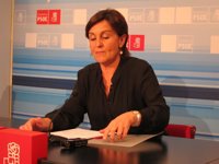 AMPL Gorostiaga alerta de el PP deja "entrever" más "ganas de venganza" que de "futuro"