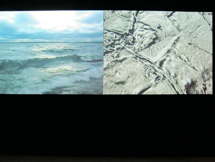 Obra Bárbara Fluxá