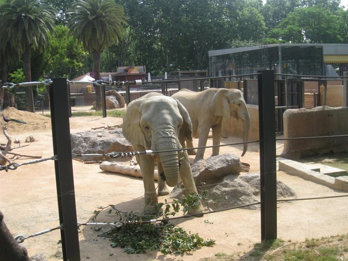 Susi Y Yoyo Juntas En El Mismo Espacio
