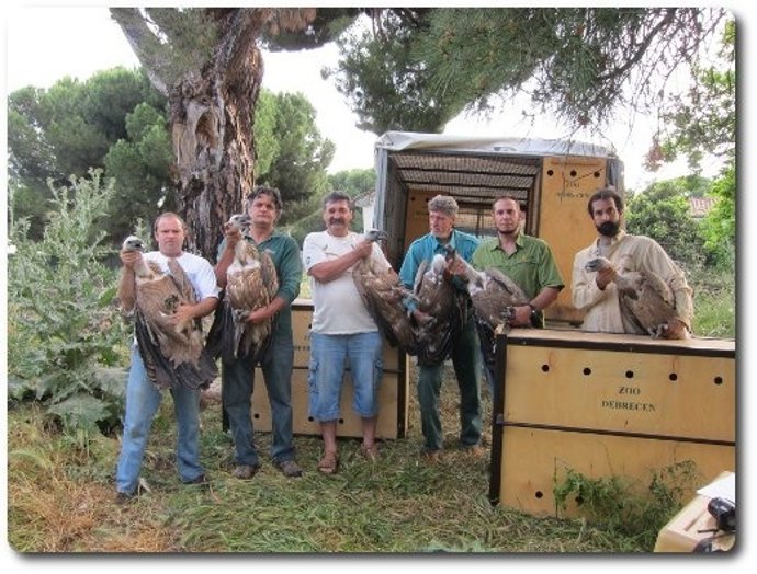 Los Buitres Enviados