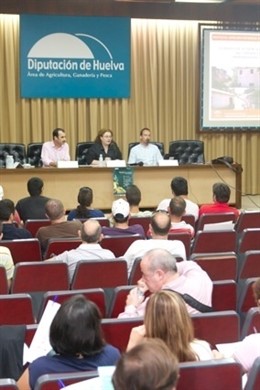 Seminario Formativo De La Diputación.