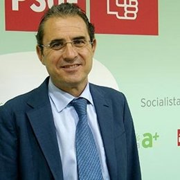 El secretario provincial del PSOE de Almería y senador, Diego Asensio