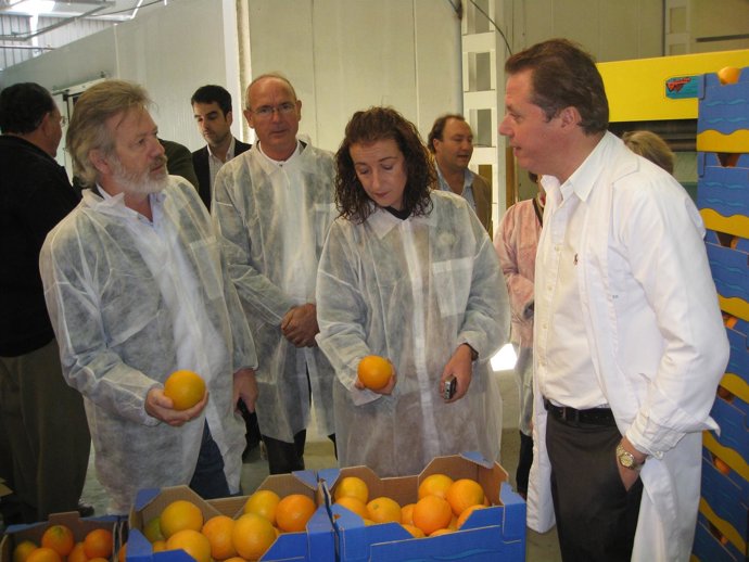 Visita A La Empresa Cítricos Del Andarax, En Almería
