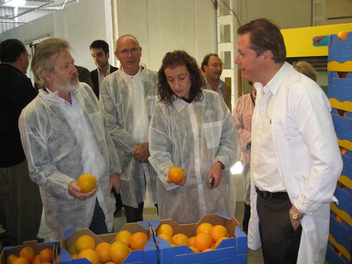 Visita A La Empresa Cítricos Del Andarax, En Almería