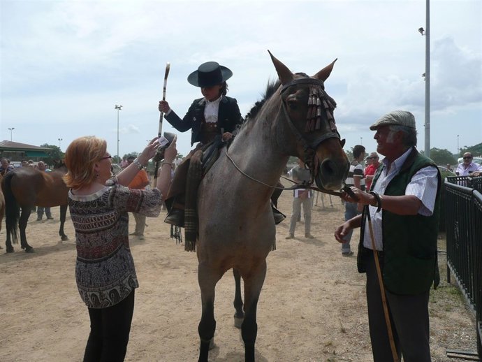 Feria De Ganado Equino