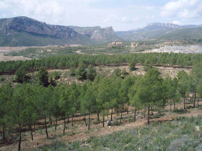 Actuación En Santolea Para Prevenir Incendios