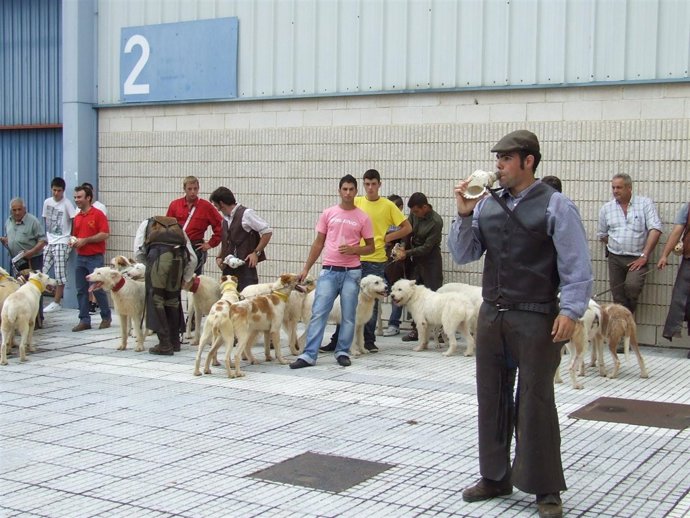 NOTA GANADORES VII CONCURSO REHALAS EXTREMADURA