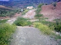 Carril En Mal Estado Del Valle De Abdalajís