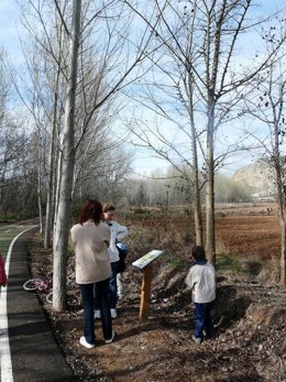 Paseo En La Ribera Del Jalón En Calatayud