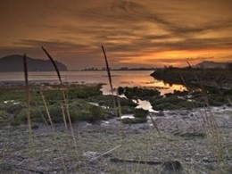 Marismas Bárcena De Cicero 