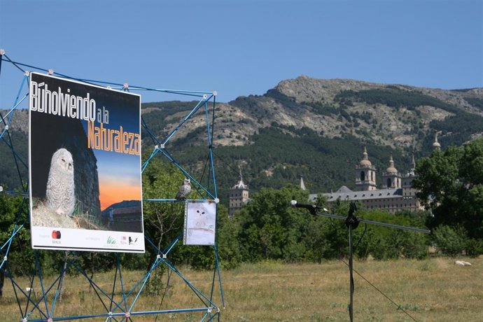 Capital De La Biodiversidad