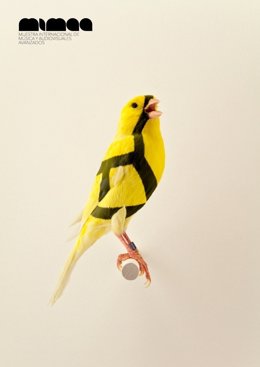 Muestra Internacional De Música Y Audiovisuales Avanzados (MIMAA)