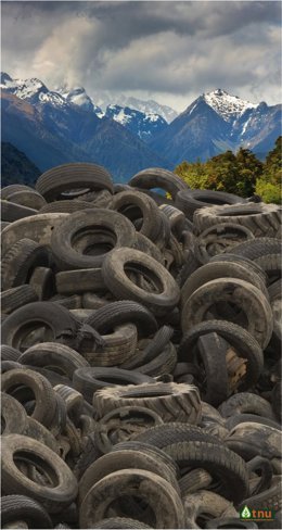 Neumáticos Fuera De Uso
