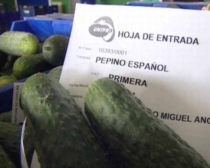 Miedo al cierre de fronteras para el pepino español