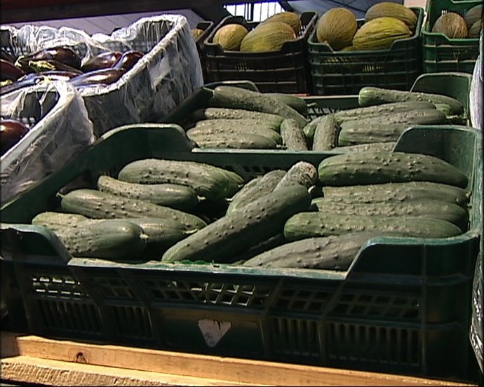 Mayoristas auguran pérdidas por crisis del pepino