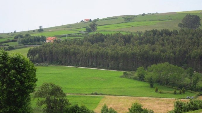 Valle Cantabria