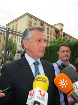 El Consejero De Cultura, Paulino Plata.