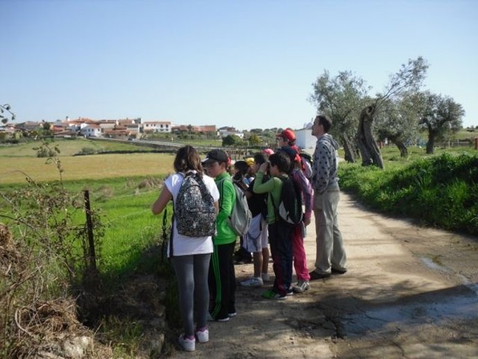 Itinerarios Educativos